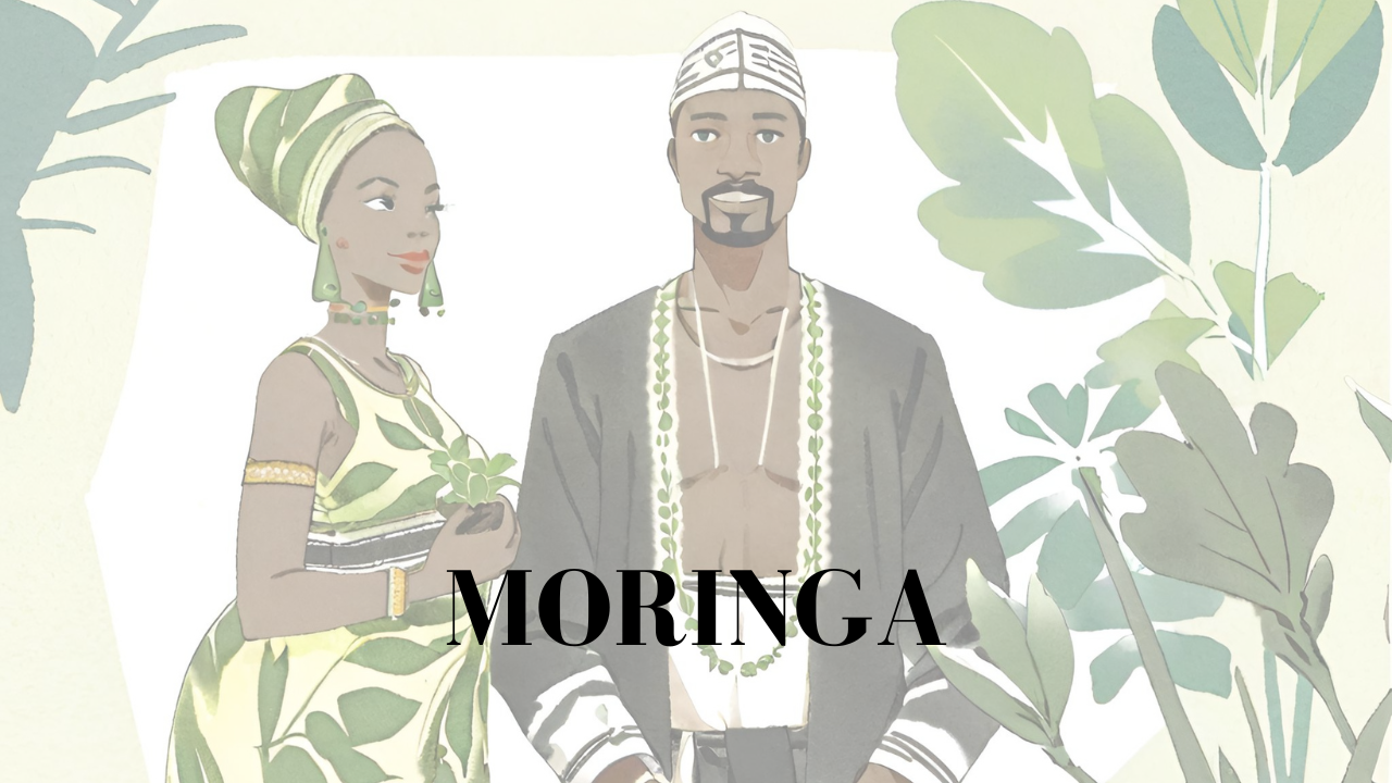Moringa : Trésor Vert aux Multiples Bienfaits - EHTYMAG SHOP
