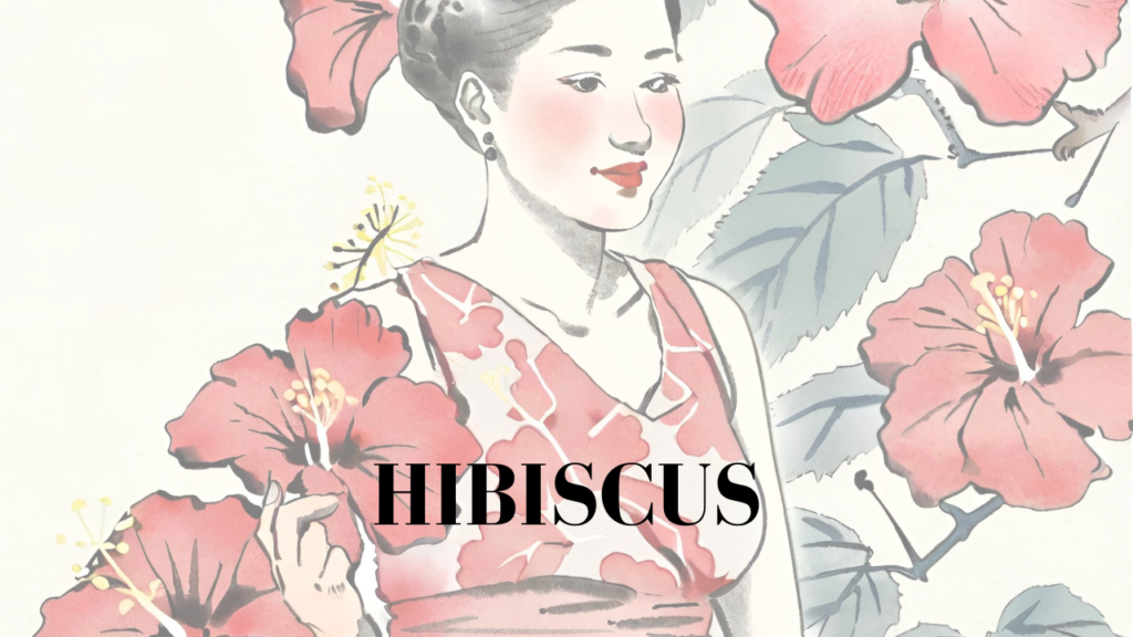 HIBISCUS, jitunze