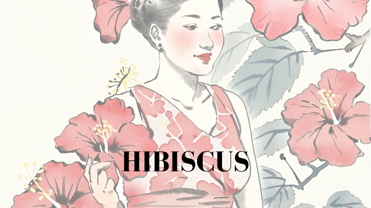 Hibiscus : Un Trésor Culinaire & Médicinal