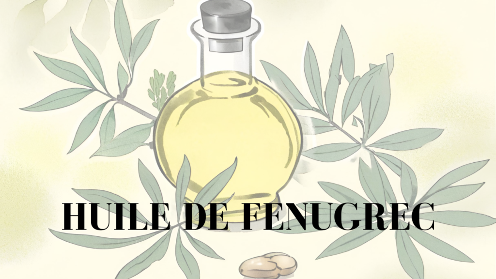 huile de fenugrec image mise en avant article fenugrec