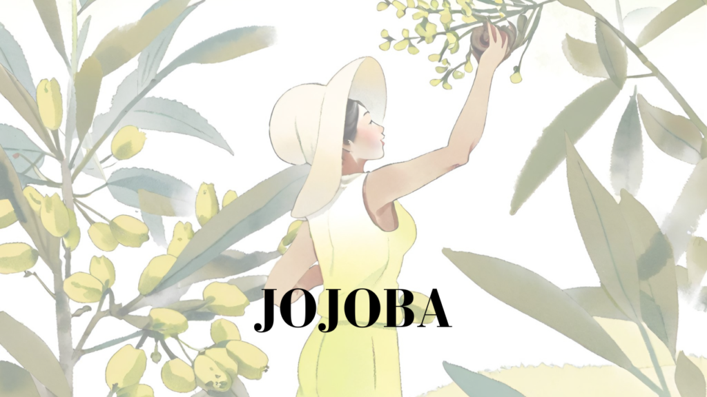jojoba