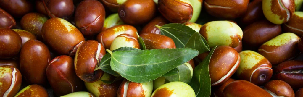 Jojoba
