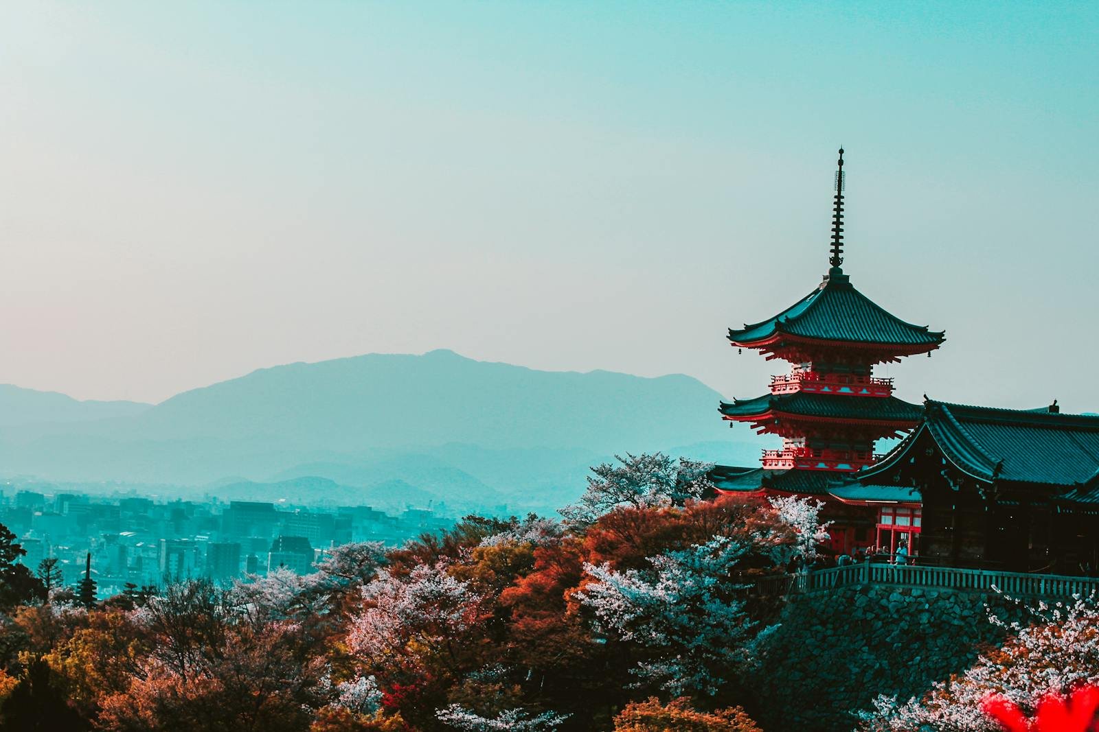 Quel budget pour un voyage au Japon ?
