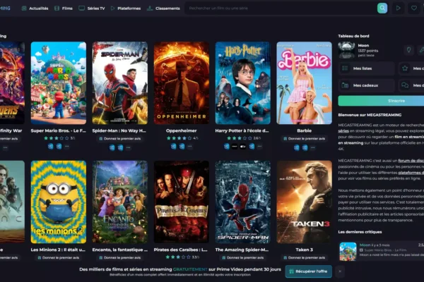 Megastreaming : deux sites, un seul nom et une confusion qui coûte cher