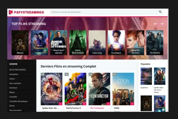 Papystreaming : l&rsquo;un des sites de streaming les plus anciens de France