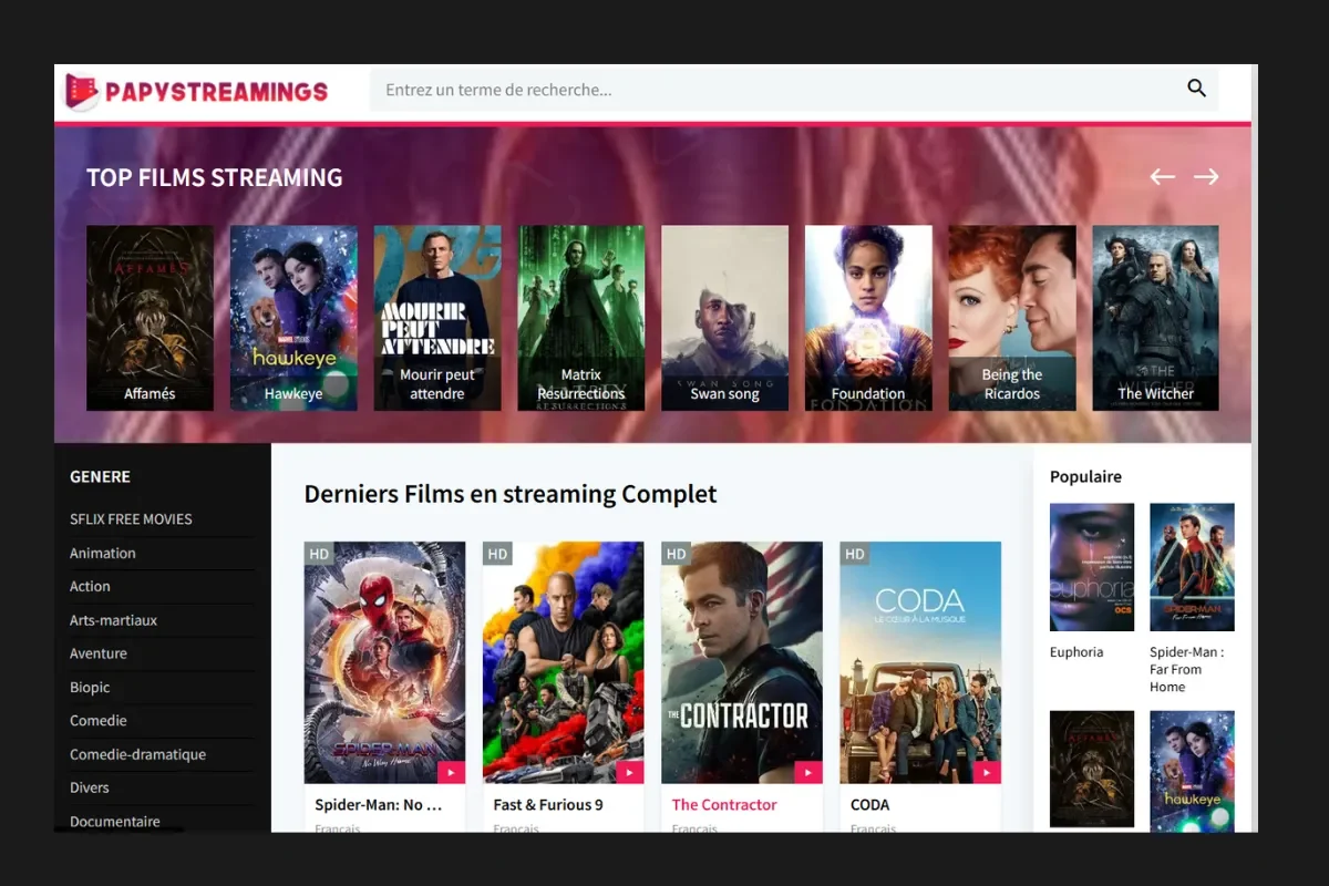 Papystreaming : l'un des sites de streaming les plus anciens de France